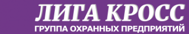 Логотип компании ЛИГА-КРОСС
