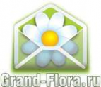 Логотип компании Доставка цветов Гранд Флора (ф-л г.Егорьевск)